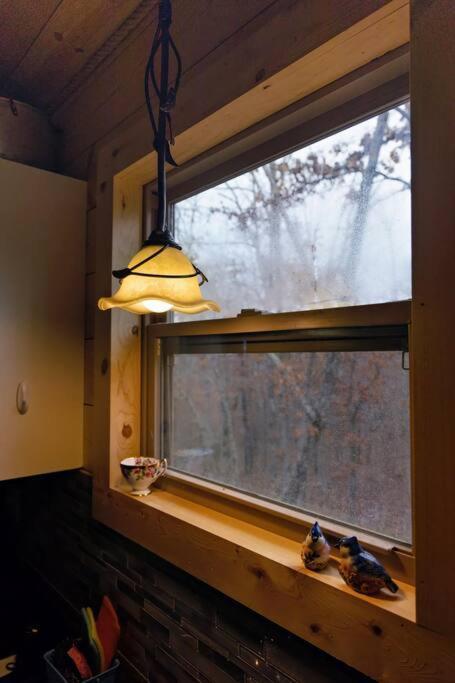 Hideaway Cabin Near Mammoth Springs, Ark Dış mekan fotoğraf